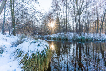 Die Sonne scheint durch einen verschneiten Wald am Waldsee Lauer beim Cospudener See in Leipzig