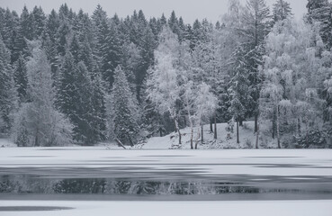 A frozen lake and melted water on the ice against the backdrop of a snowy forest in winter