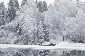 A frozen lake and melted water on the ice against the backdrop of a snowy forest in winter