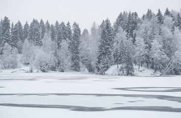A frozen lake and melted water on the ice against the backdrop of a snowy forest in winter