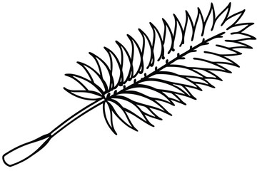 Obraz premium bottlebrush silhouette line art vector illustration