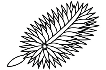 Obraz premium bottlebrush silhouette line art vector illustration