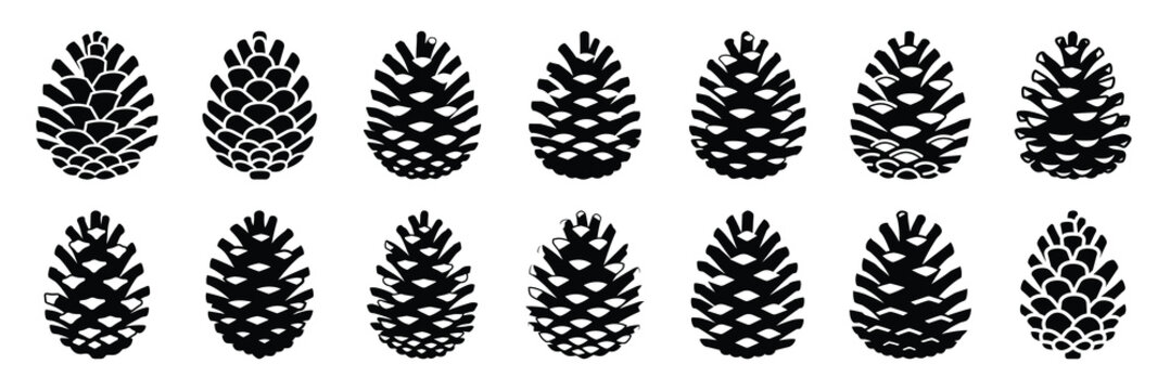 christmas  pine cone icon set silhouette on black colour and white background. Holiday silhouette vector icons.