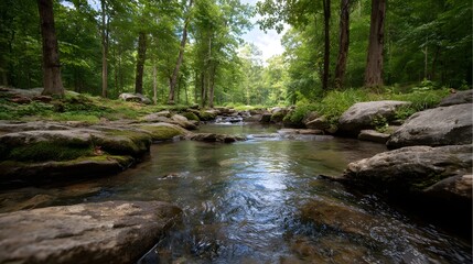 Obraz premium A clear stream flows gently over moss covered rocks through a lush green forest under d d sunlight