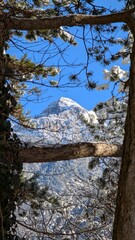 After the snowfall in Chiusaforte