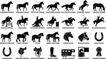 Horse and Equestrian solid icon set featuring icons for Showjumping, Dressage, Barrel Racing, Polo Player, Horse Trailer, and winner ribbon. Solid vector illustrations for sport.