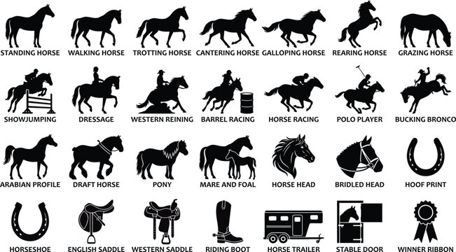 Horse and Equestrian solid icon set featuring icons for Showjumping, Dressage, Barrel Racing, Polo Player, Horse Trailer, and winner ribbon. Solid vector illustrations for sport.