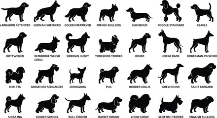 A large collection of detailed black silhouette icons representing 28 popular dog breeds. © icons studio