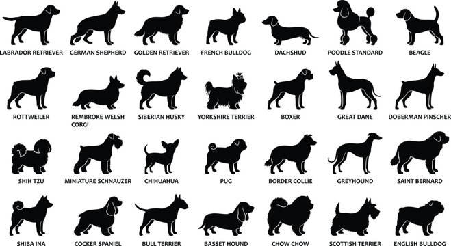 A large collection of detailed black silhouette icons representing 28 popular dog breeds.