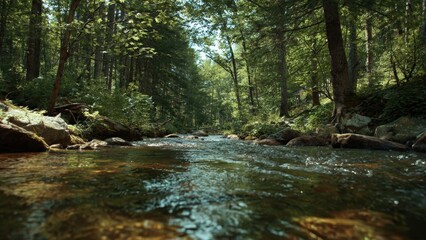 Obraz premium Forest Stream