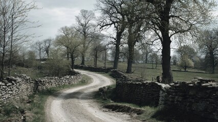 Obraz premium Stone Walls Line Rural Country Road