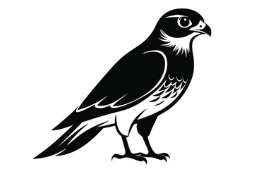 Obraz premium eurasian sparrowhawk silhouette line art vector illustration