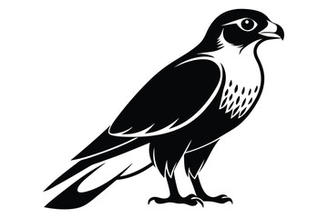 Obraz premium eurasian sparrowhawk silhouette line art vector illustration