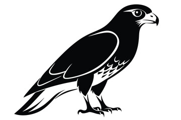 Obraz premium eurasian sparrowhawk silhouette line art vector illustration