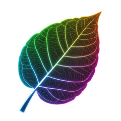 Naklejka premium Colorful Glowing Leaf Veins
