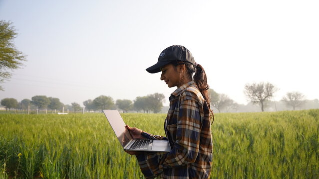 Young woman looking at laptop screen in the middle of wheat field. Business lady inspecting concept, sitting and using notebook. Female farmer wearing cap in middle of crop. A calm, joyful girl