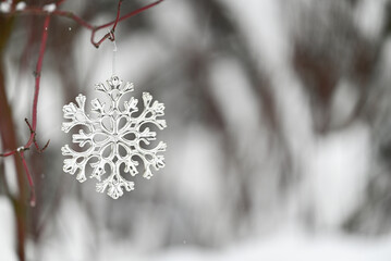 Silver Christmas  toy snowflake on a tree branch