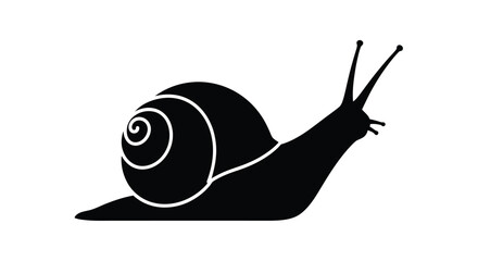A black snail graphic with a distinct shell shape silhouette © Taylor