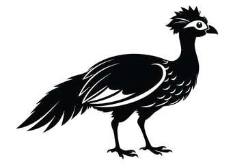 Obraz premium curassow silhouette line art vector illustration