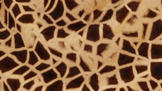 Horizontal 3D abstract giraffe animal fur fabric pattern banner template wallpaper loop animation spots texture wildlife safari nature print fashion textile website copyspace background brown beige