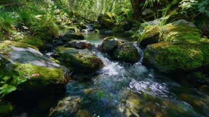 Obraz premium Mossy Rocks in Flowing Forest Stream