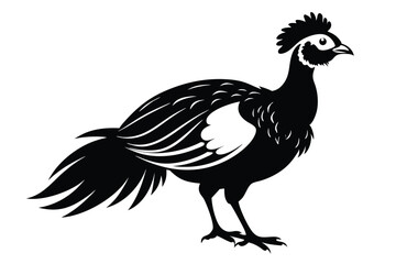 Fototapeta premium curassow silhouette line art vector illustration