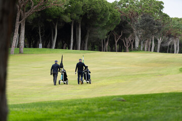 Fototapeta premium Golfers Playing on a Green Course with Trees