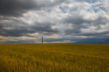 Obraz premium Tall transmission tower adorned with antennas and dishes stands prominently in a field of golden grain. A power line hints at the rural setting, creating a dramatic atmosphere during late afternoon.