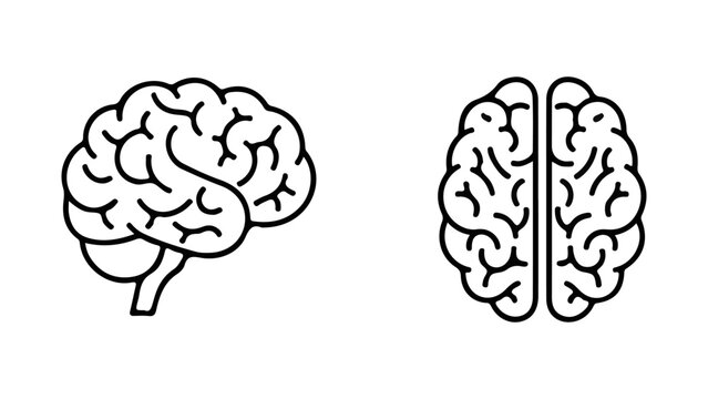 Simple line art icons of human brain from side and top view isolated on white background, Vector, illustration