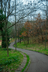 Obraz premium Autumn scenery in the Grand Park of Tirana (Parku i Madh i Tiranës), Albania, featuring a winding asphalt walking path and a distinct yellow-paved cycling lane. The image captures bare trees and falle