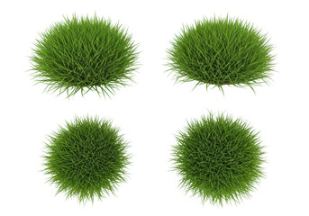 Vibrant emerald green grass tufts with dewy, distinct blades on a crisp, seamless studio white background, soft box lighting, elevated overhead view, natural isolated element concept