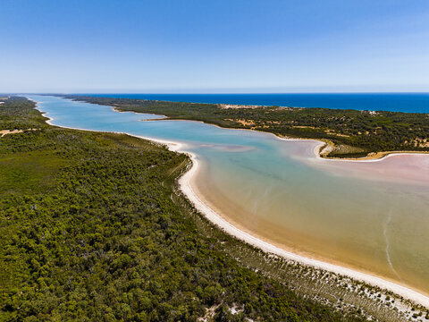Aerial view of the tranquil estuary where the dark blue ocean merges with the light blue river, bordered by dense green forest and pale pink sand, Myalup, Western Australia, Australia.