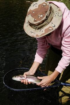 Pecos River, New Mexico, United States. Catch and release fly fishing for wild rainbow trout.  Woman looking at the trout she just caught. 