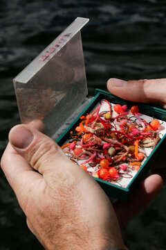 Pecos, New Mexico, USA. Fishing on the Pecos, man with box of fish lures. 