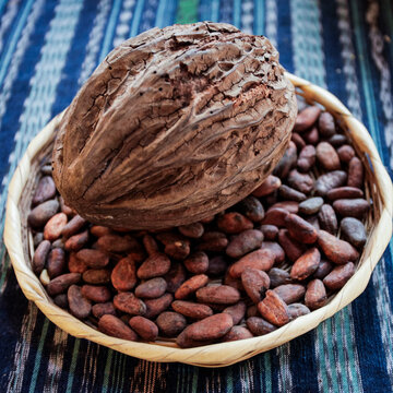 Antigua, Guatemala.  Cocoa pod and beans