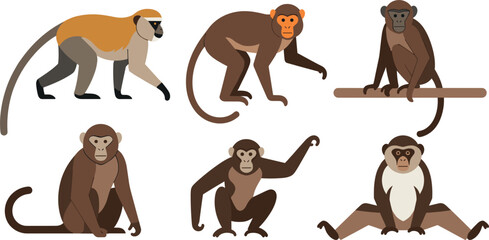 Collection of colorful monkey characters in various natural poses and positions © Firoz