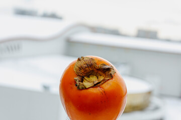 Ripe orange persimmon fruit on white windowsill with natural light. Fresh healthy winter snack.