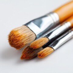 Fototapeta premium Close-up of three artist brushes with metal ferrules on white background