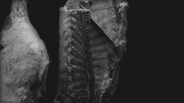 From hooks, in darkness