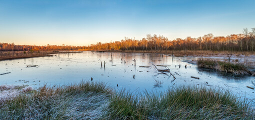 Hamburg, Germany. The nature reserve Wittmoor in winter. It is the last upland moor in northern Hamburg.