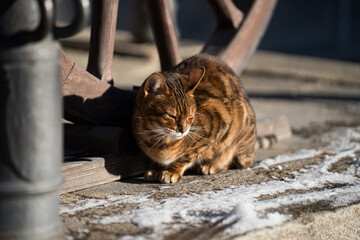 Cesky Krumlov, the most beautiful city in the guilds