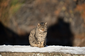 Cesky Krumlov, the most beautiful city in the guilds