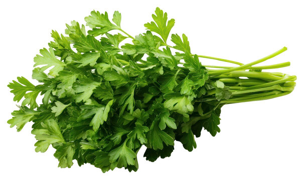 PNG Parsley parsley herbs ingredient.