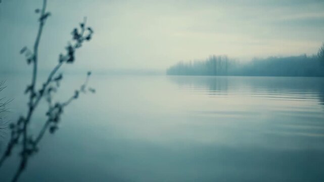 Serene lake scene featuring bare branches and reeds in the foreground reflecting on the calm, flat water surface, with a distant line of trees obscured by dense fog