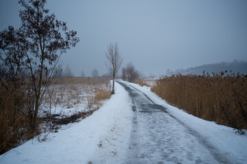 winter nature around Lake Most