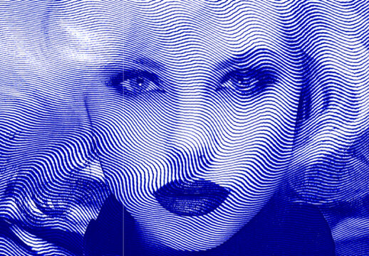 Blue And White Retro Engraving Photo Effect