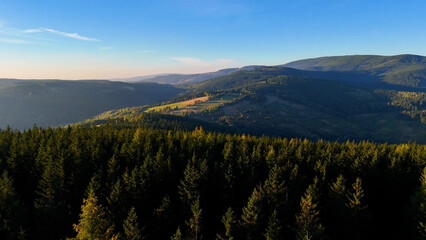 Aerial view of yellow aspen and green pine forests in early autumn in Colorado, USA. A picturesque autumn mountain landscape.