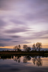 Obraz premium Ruhige Landschaft bei Sonnenaufgang mit Baumreihe und Spiegelung im Wasser