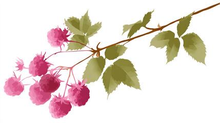 Fresh berries with green leaves on a branch