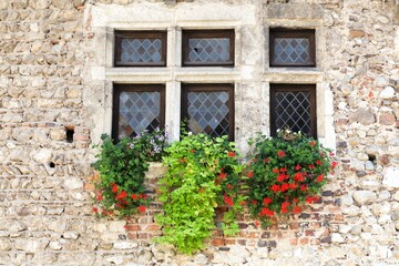 Window with flowers in the medieval village of Perouges in France